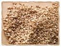 sesame-seeds