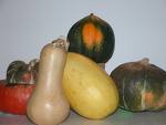 winter-squash